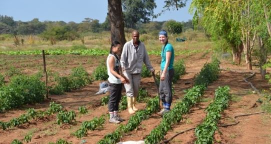 South Africa Field School